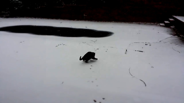 Подборка Кошкин первый снег 