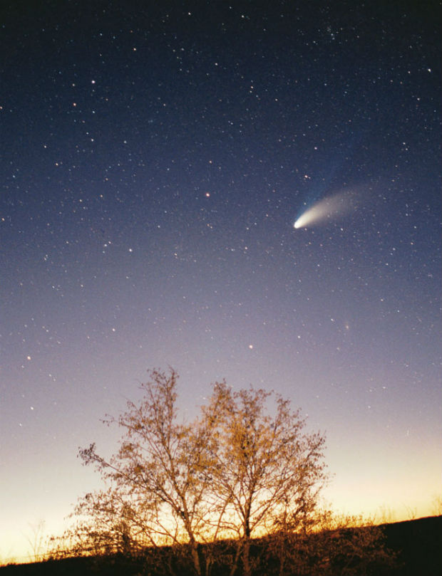 ищу свою комету 