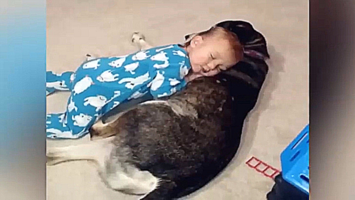 Подборка Ребенок засыпает на собаке