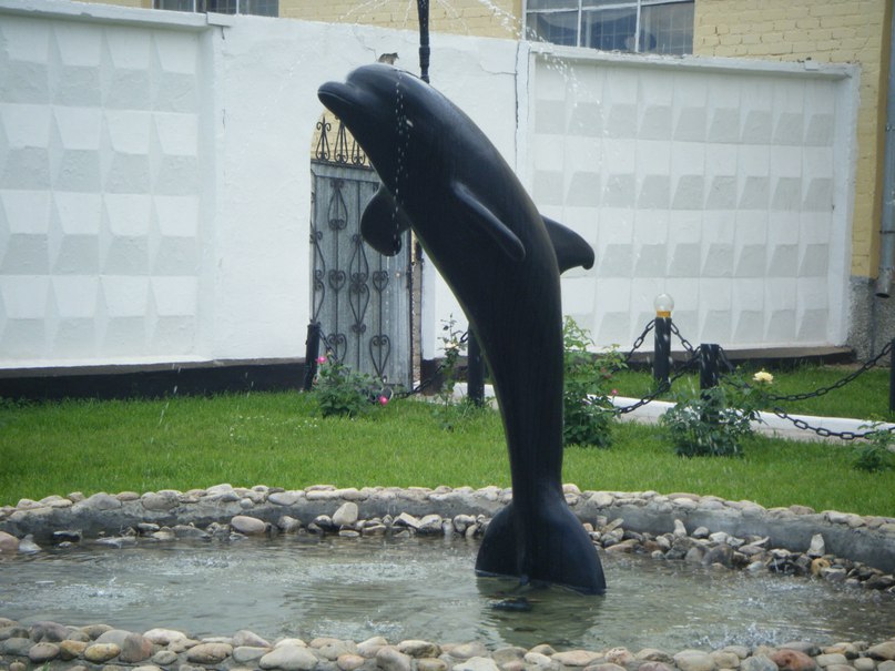 Фантанчик с чёрным дельфином 